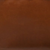 Acorn